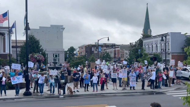 A "No Kings" protest was held in Danville this past Saturday. (Photo submitted)