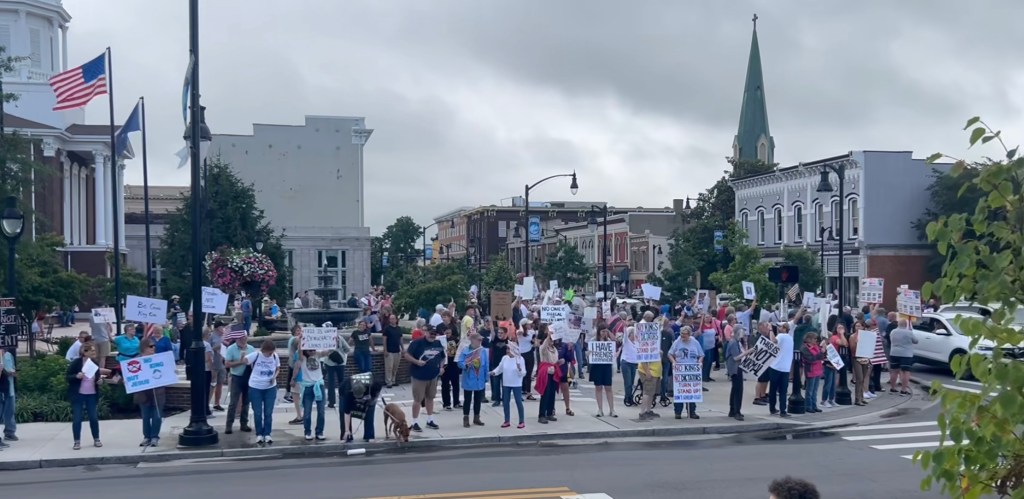 A "No Kings" protest was held in Danville this past Saturday. (Photo submitted)