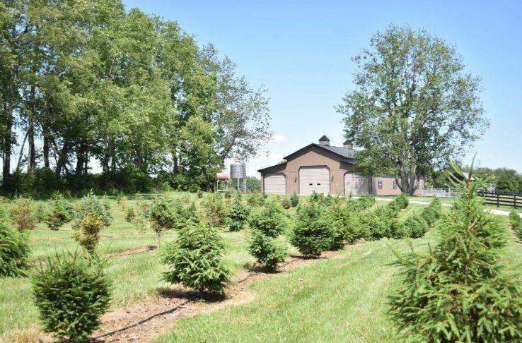 Sherwood Acres Christmas Trees opens first season with family traditions and community support